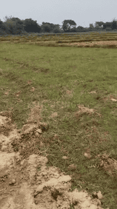 Image of 435 Sq.ft Residential Plot / Land for sale in Namkum, Ranchi for Rs. 850000