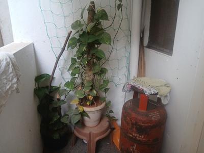 Image of 750 Sq.ft 1 BHK Apartment / Flat for rent in Banaswadi, Bengaluru for Rs. 24000