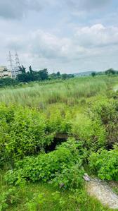 Image of 13014 Sq.ft Residential Plot / Land for sale in Andharua, Bhubaneswar for Rs. 20800000