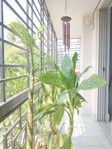 Bedroom Three Image of 3500 Sq.ft 4 BHK Villa for sale in Pancha Sayar Kolkata for Rs. 20000000