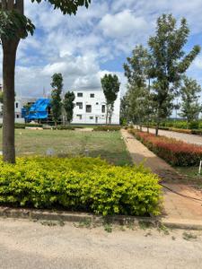 Residential Plot