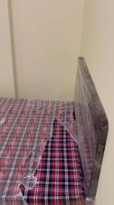 Bedroom Image of 500 Sq.ft 1 BHK Apartment / Flat for rent in Sagar Lifestyle Towers, Salaiya Bhopal for Rs. 15000