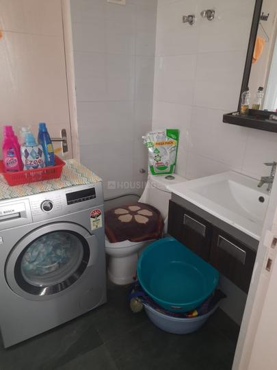 Tulip Violet Main Image 1