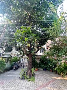 Image of 1800 Sq.ft 7 BHK Independent House for sale in Sector 54, Mohali for Rs. 40000000