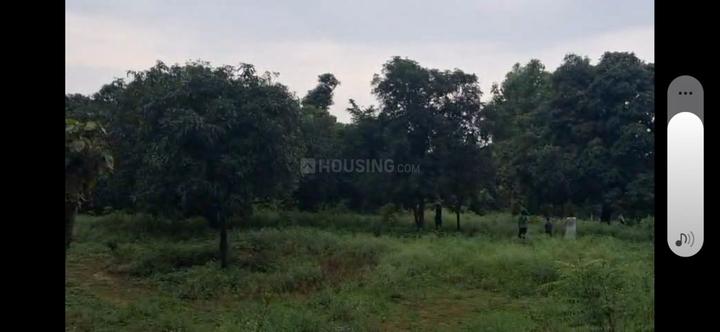 Vikasnagar Main Image 1