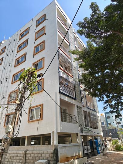 Swadesh Greenwood Main Image 1