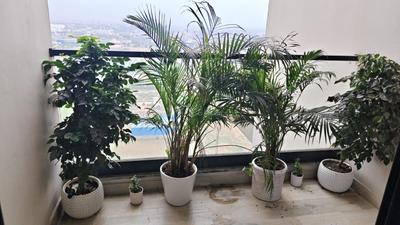 Balcony Image of 1158 Sq.ft 2 BHK Apartment / Flat for rent in M3M Skywalk, Sector 74 Gurgaon for Rs. 43000