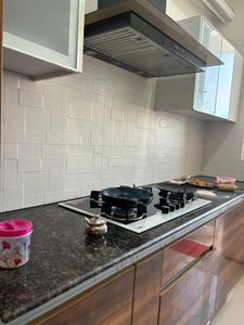 Kitchen Image of 1785 Sq.ft 3 BHK Apartment / Flat for rent in Ambika LA Parisian , Sector 66 Mohali for Rs. 40000