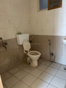 Image of 1200 Sq.ft 2 BHK Apartment / Flat for rent in Man Royal Platinum, Vijay Nagar, Indore for Rs. 21000