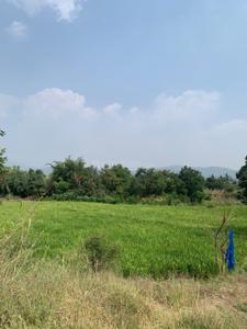 Image of 11000 Sq.ft Residential Plot / Land for sale in Bhor, Pune for Rs. 2090000