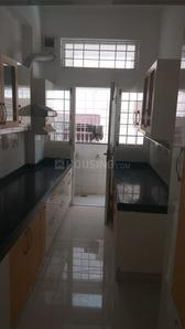 Kitchen Image of 1650 Sq.ft 3 BHK Apartment / Flat for rent in T Nagar Chennai for Rs. 75000