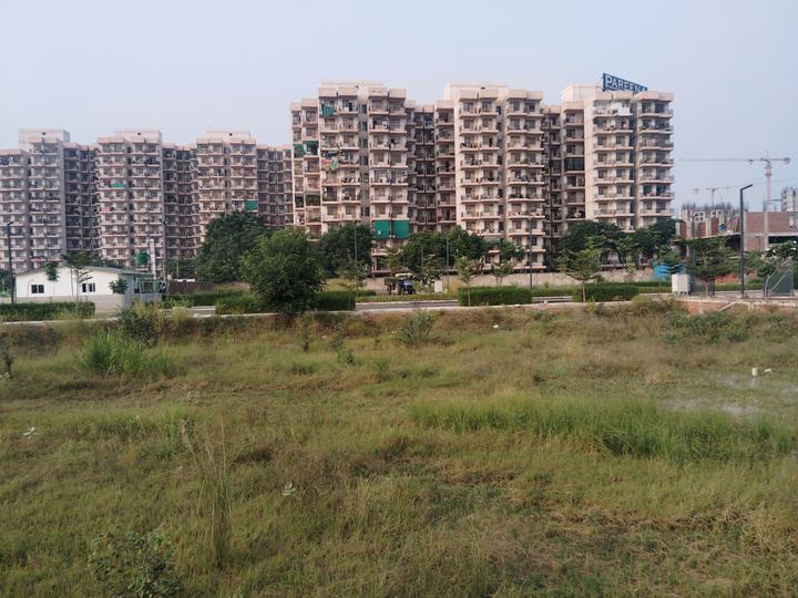 Skywhales Vienna Greens II Main Image 1