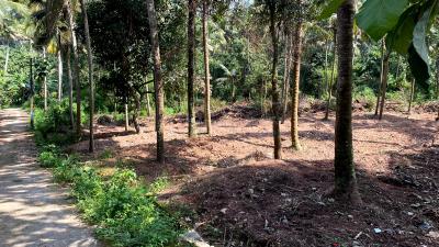 Image of 3000 Sq.ft Residential Plot / Land for sale in Sreekariyam, Thiruvananthapuram for Rs. 4500000