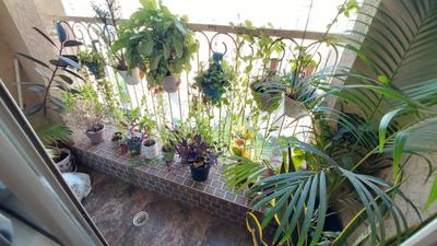 Balcony Image of 575 Sq.ft 1 BHK Apartment / Flat for sale in Thane West Thane for Rs. 9950000