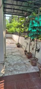 Balcony Image of alfa pg in Mansarovar, Jaipur