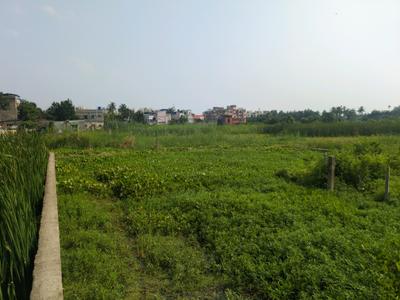 Sonargaon 2 Plot View 1