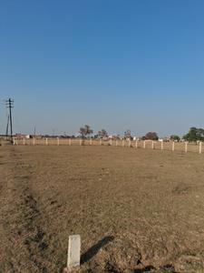 Bagha Plot View 2