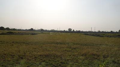 Image of 1000 Sq.ft Residential Plot / Land for sale in Neelbad, Bhopal for Rs. 1150000