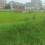 Industrial Area Mohali, Sector 74 Plot View 2