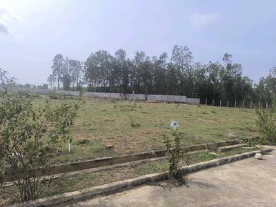 Image of 1500 Sq.ft Residential Plot / Land for sale in Hoskote, Bengaluru for Rs. 4275000