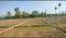 West Park Plot View 2