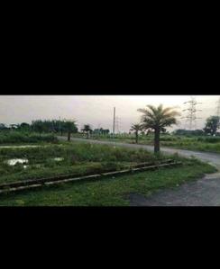 Image of 1000 Sq.ft Residential Plot / Land for sale in Ghurpur, Allahabad for Rs. 750000