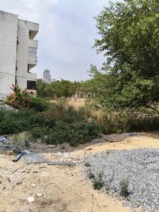 Sector 109 Plot View 3