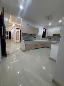 Hall Image of 741 Sq.ft 2 BHK Builder Floor for rent in Saket New Delhi for Rs. 18000