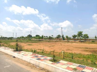 Residential Plot