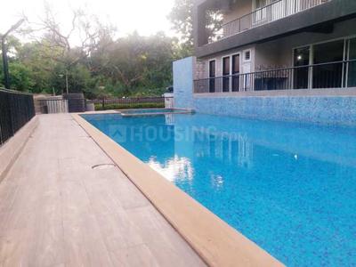 Swimming Pool Image of 914 Sq.ft 2 BHK Apartment / Flat for sale in Vagator Goa for Rs. 17500000
