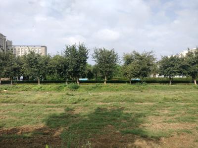 Image of 1125 Sq.ft Residential Plot / Land for sale in BPTP District, Sector 81, Faridabad for Rs. 24000000