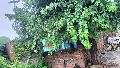 Image of 900 Sq.ft 4 BHK Independent House for sale in Vishwakarma Industrial Area, Jaipur for Rs. 4000000