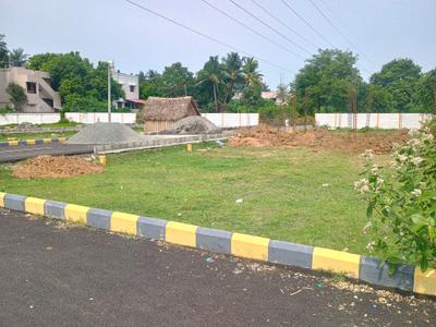 Residential Plot