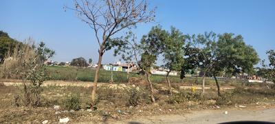 YEIDA Individual Residential Plots Plot View 3