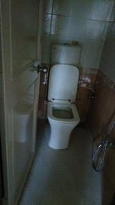 Image of 1100 Sq.ft 2 BHK Apartment / Flat for rent in Vistacore Ambiience Antilia, Bavdhan, Pune for Rs. 32000