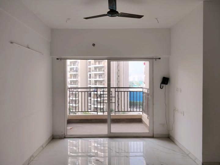 ACE Divino Main Image 1