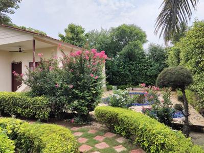 Image of 9800 Sq.ft 3 BHK Farm House for sale in Sikanderpur, Greater Noida for Rs. 8450000
