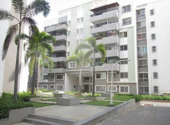 Bren SJR Luxuria Main Image 1