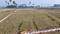 Naubatpur More Images 2