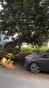 Image of 145 Sq.ft Residential Plot / Land for sale in Palam Vihar, Gurgaon for Rs. 40000000