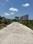 Anala Apple Tree Plot View 2
