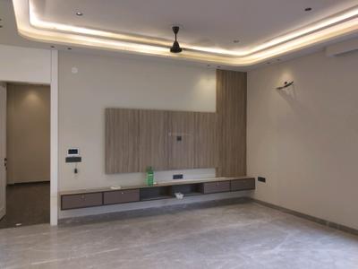 Living Room Image of 1500 Sq.ft 3 BHK Builder Floor for sale in Vikaspuri New Delhi for Rs. 34000000