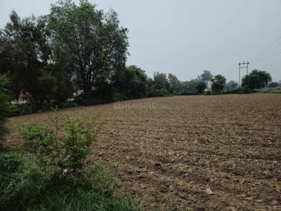 Image of 8000 Sq.ft Residential Plot / Land for sale in Runkata, Agra for Rs. 320000000