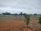 Hoskote Plot View 2