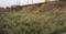 Mithapur Farm Area Plot View 2