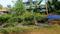 Thrippunithura Main Image 1