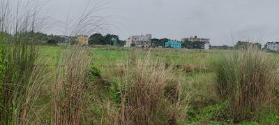 Image of 1620 Sq.ft Residential Plot / Land for sale in Uttara, Bhubaneswar for Rs. 4860000