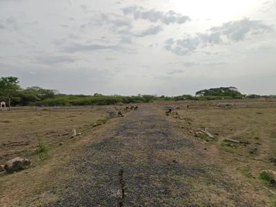 Image of 800 Sq.ft Residential Plot / Land for sale in Chengalpattu, Chennai for Rs. 1199203