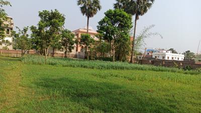 Image of 3174 Sq.ft Residential Plot / Land for sale in Khazanchi Haat, Purnea for Rs. 4900000