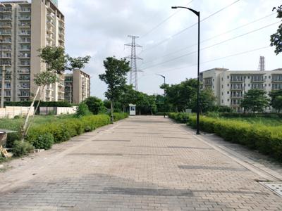BPTP District Internal Roads 2